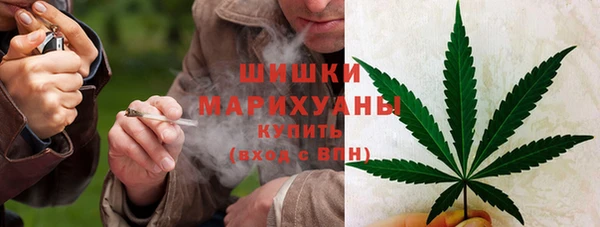 мдпв Богородск