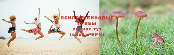первитин Бородино