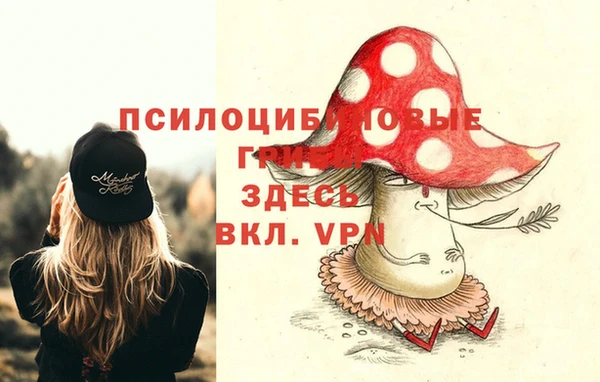 ALPHA PVP Верхний Тагил